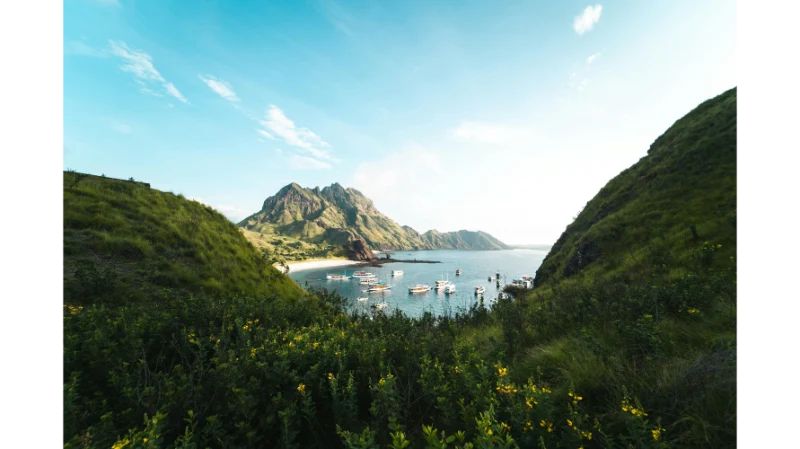 nusa win55.com – How This Platform Works for Safer Online Use